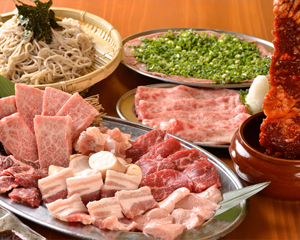 コスパ抜群！登竜門盛り